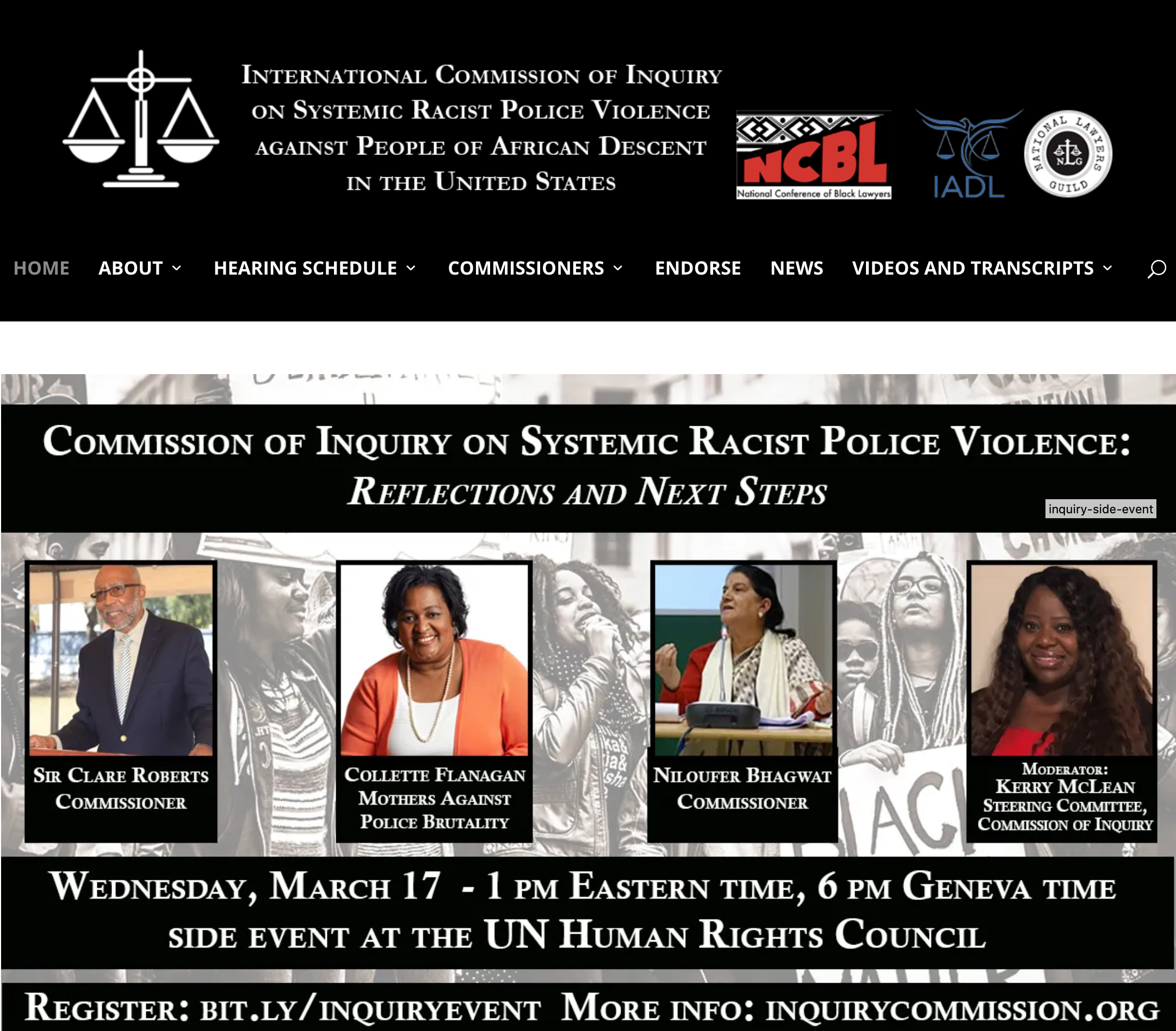International Commission of Inquiry on Systemic Racist Police Violence against People of African Descent in the United States